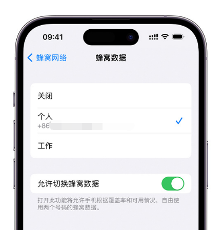 江阳苹果维修服务分享如何在iPhone上使用双卡 